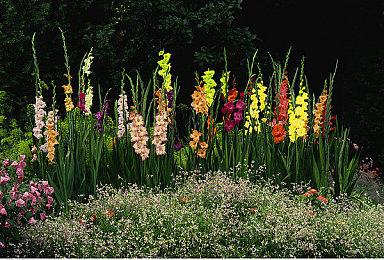 《坎巴拉太空计划2》发售就有注册表BUG 修复测试中